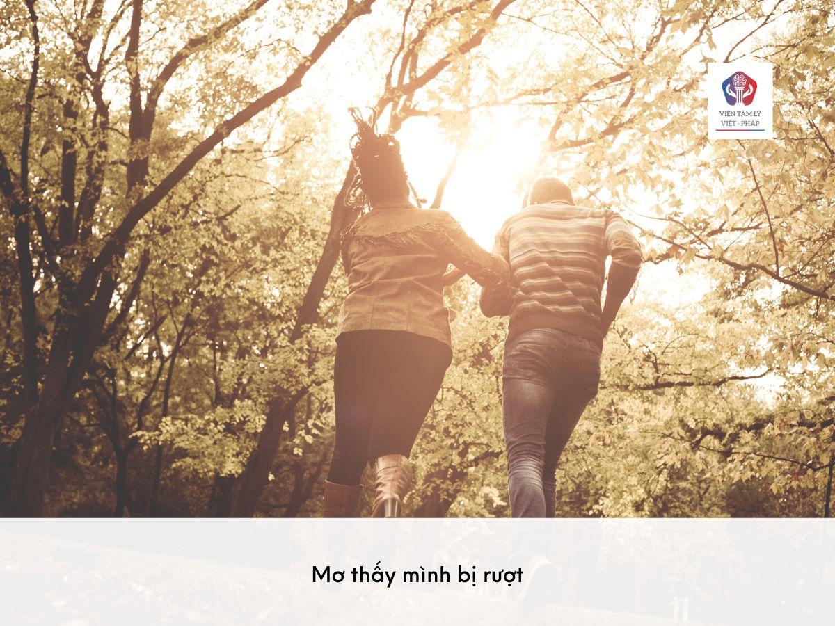 Nằm Mơ Bị Rượt Đuổi Đánh Con Gì? Giải Mã Và Số Đề Liên Quan