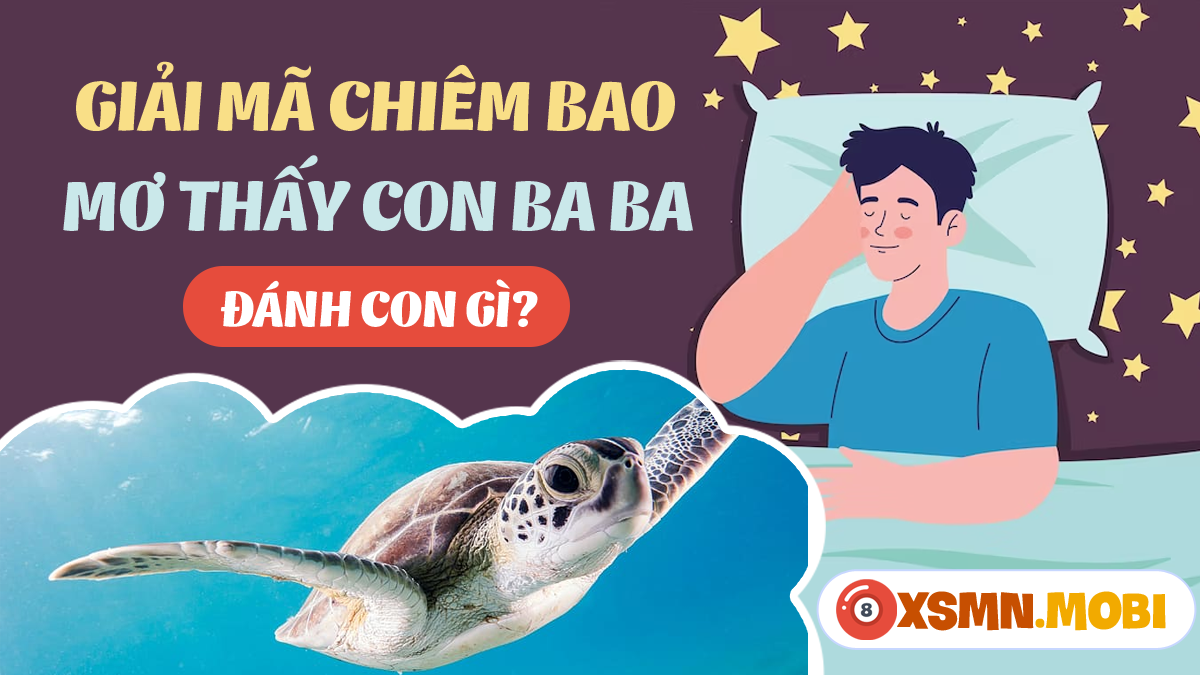Giải mã giấc mơ bắt ba ba