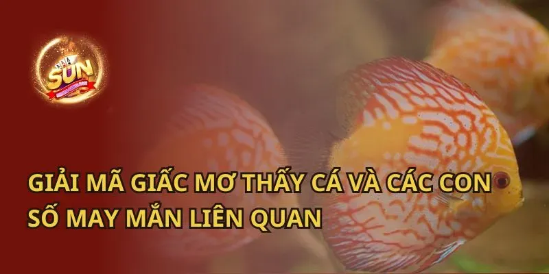 Giải Mã Giấc Mơ Thấy Hoa Bị Ngạn Và Số Đề Liên Quan