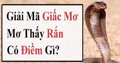 Giải Mã Giấc Mơ Cãi Nhau Với Bố