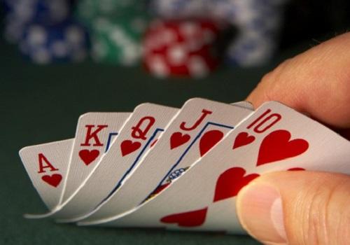 Nằm Mơ Thấy Chó Vàng Đuổi: Điềm Báo Gì?