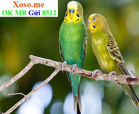 Giải mã giấc mơ buôn bán, điềm báo tài lộc