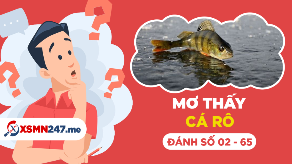 Giải Mã Giấc Mơ Thấy Máu Kinh và Số Đề