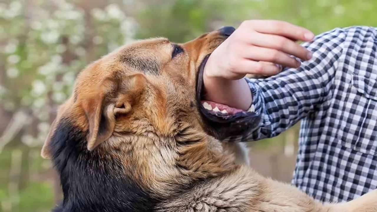 Giải Mã Giấc Mơ Thấy Khiêng Quan Tài