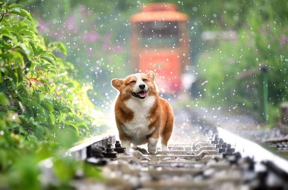 Nằm Mơ Thấy Tượng Phật Bị Vỡ: Điềm Báo Gì?