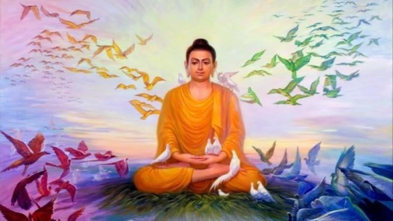 Giải Mã Giấc Mơ Thấy Cọp Đuổi và Số Đề Liên Quan
