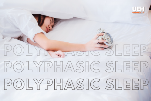 Giải mã giấc mơ đánh đề: Các phương pháp phổ biến và hiệu quả