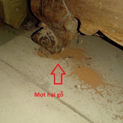 Nằm mơ thấy ếch là điềm gì? Giải mã giấc mơ lô đề