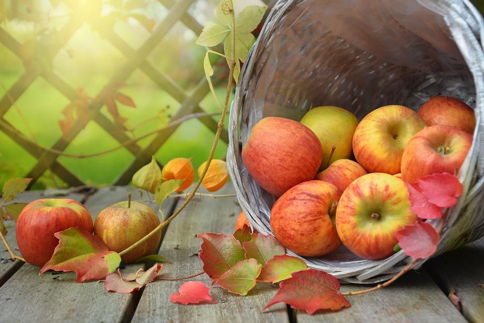 Giải Mã Giấc Mơ Thấy Dây Điện Cháy Đánh Đề Con Gì?