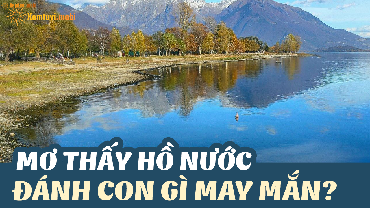 Nằm Mơ Mình Bị Lạc Đường Đánh Con Gì?