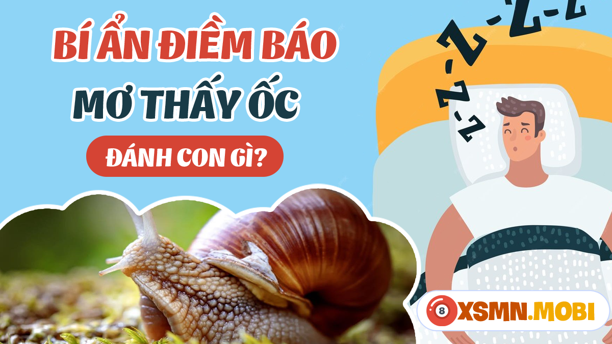 Giải mã giấc mơ lợi nước bắt ốc số đề