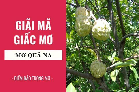 Giải Mã Giấc Mơ Thấy Chơi Lô Tô