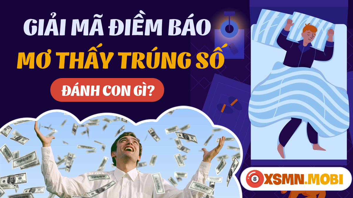 Nằm mơ thấy ve chó là điềm gì? Giải mã chi tiết từ Bậc Thầy Giải Mộng