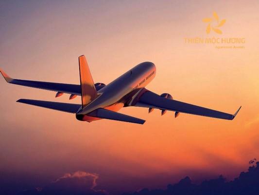 Giải Mã Giấc Mơ Thấy Mặt Trăng Tròn