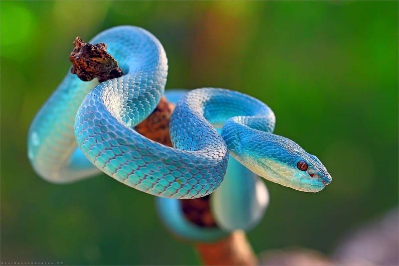 Giải Mã Giấc Mơ Thấy Mưa Tạt Vào Nhà Và Số Đề