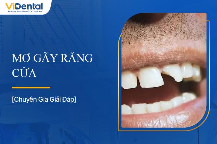 Giải Mã Giấc Mơ Thấy Rùa Đẻ