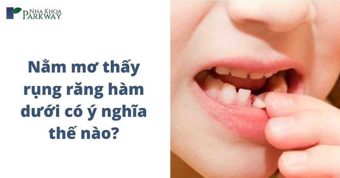 Nằm Mơ Rắn Đuổi Đánh Con Gì? Giải Mã Bí Ẩn