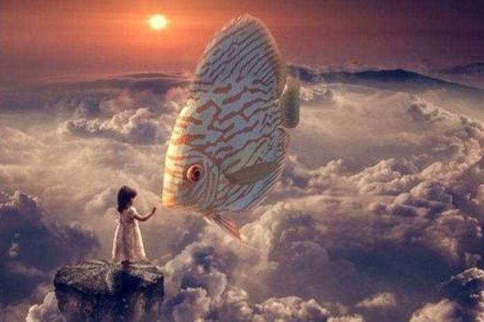 Nằm mơ thấy cá trắm đánh số gì? Giải mã chi tiết