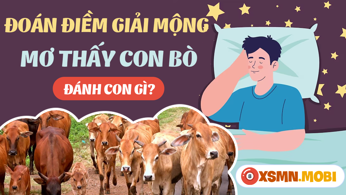 Giải Mã Giấc Mơ Thấy Hoa Hồng Đỏ