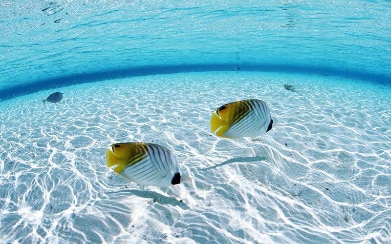 Giải Mã Giấc Mơ Thấy Xe Khách Bị Lật
