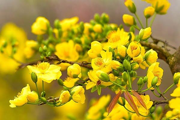 Nằm Mơ Thấy Mình Kết Hôn Với Người Lạ