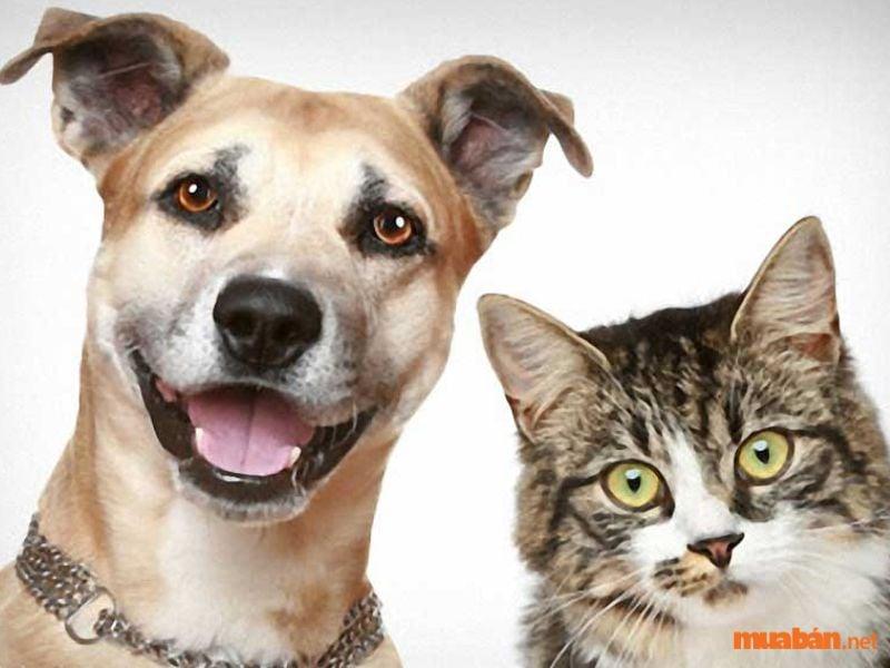 Nằm Mơ Thấy Buôn Bán Là Số Mấy? Giải Mã Chi Tiết
