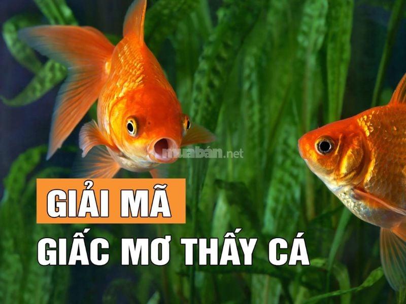 Nằm Mơ Nhặt Được Tiền 500 Nghìn: Điềm Báo Gì?