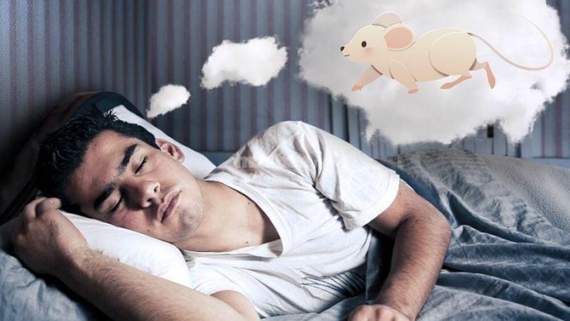 Nhiều Đêm Nằm Mơ Về Anh Giật Mình Mới Biết Mất Anh
