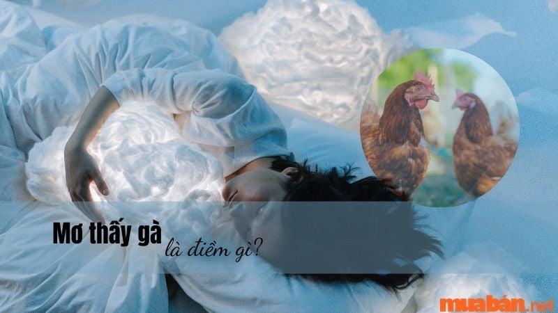 Nằm Mơ Thấy Câu Cá Rô Đồng: Điềm Báo Và Con Số May Mắn