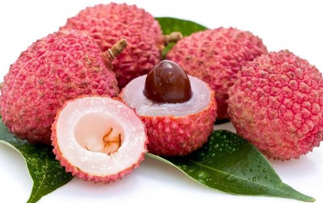 Nằm Mơ Thấy Rắn Mối Cắn: Điềm Báo Gì Về Số Đề?