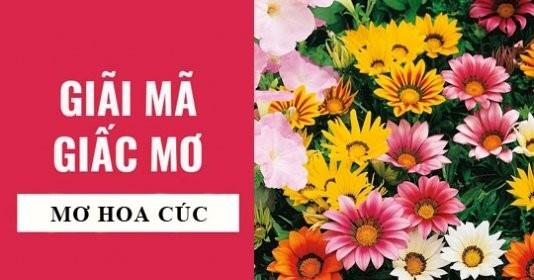 Giải Mã Giấc Mơ Thấy Gió Thổi Mạnh Vào Nhà