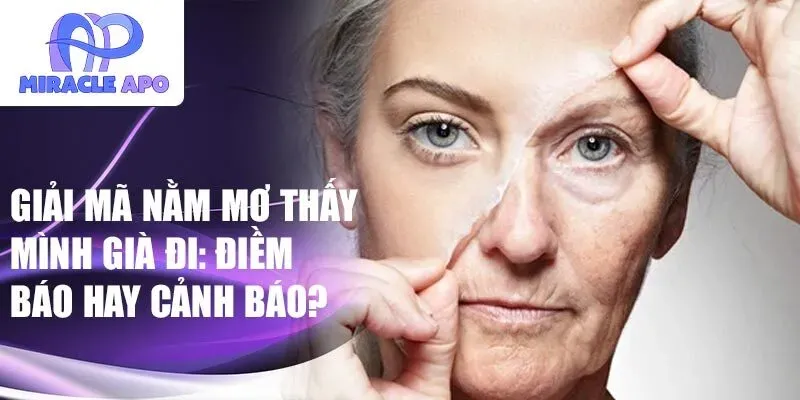 Nằm Mơ Bị Chó Cắn Đánh Con Gì? Giải Mã Bí Ẩn