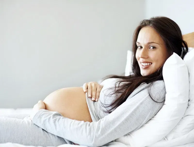 Giải Mã Giấc Mơ Thấy Gà Mái Ấp Trứng Và Số Đề