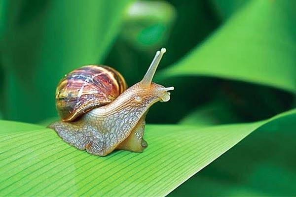Nằm Mơ Thấy Mình Bị Bắn Đánh Số May