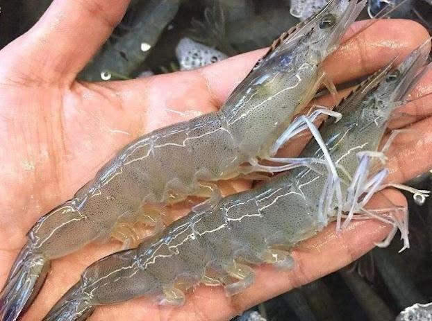 Giải Mã Giấc Mơ Nằm Mơ Người Nổi Tiếng