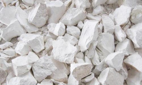 Giải Mã Giấc Mơ Bắt Được Nhiều Cá Rô Phi