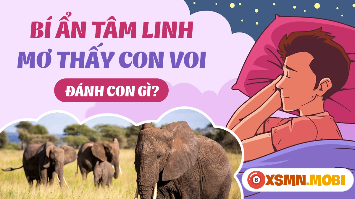 Giải mã giấc mơ thấy vôi trắng: Tinh khiết