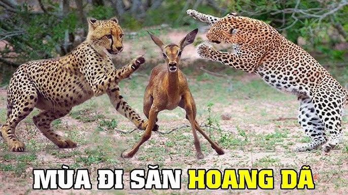 Nằm Mơ Thấy Cãi Nhau Với Người Đã Chết: Giải Mã Và Ý Nghĩa