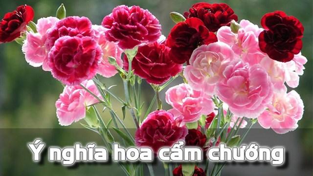 Nằm Mơ Thấy Chùa Bị Cháy: Điềm Báo Gì Và Đánh Số Mấy?