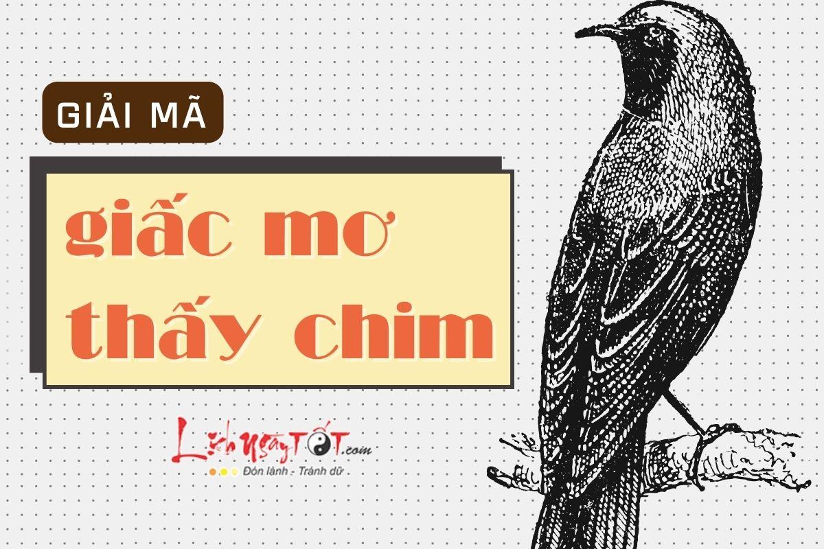 Mơ thấy lông vũ màu đen bí ẩn