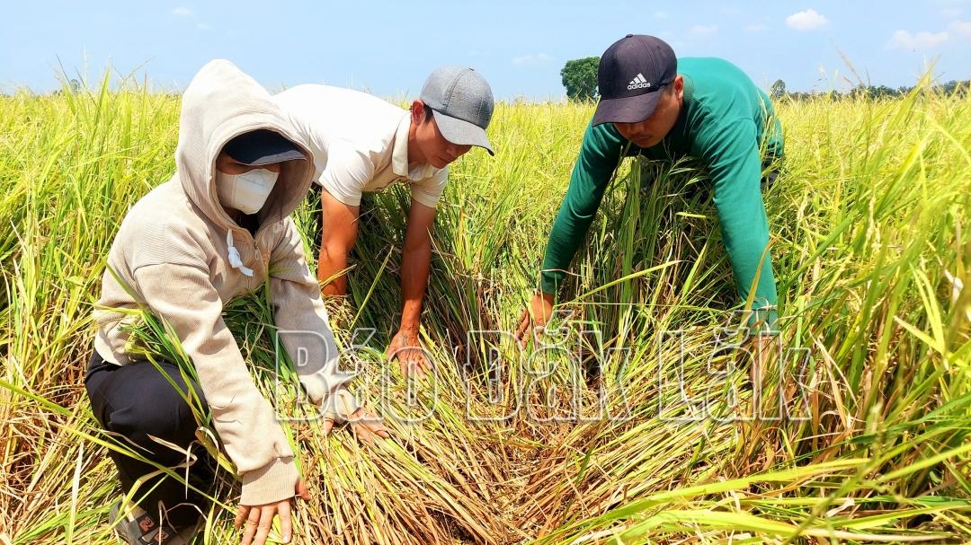 Giải Mã Giấc Mơ Thấy Mình Để Lại Đồ Vật Và Con Số May Mắn