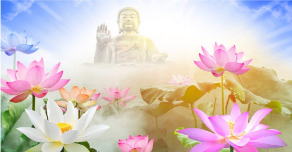 Nằm Mơ Thấy Hoa Đánh Số Gì? Bậc Thầy Giải Mộng Chỉ Điểm