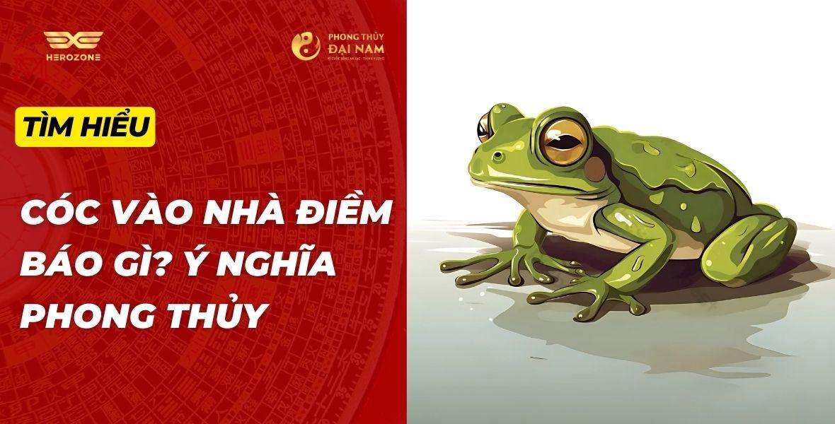Nằm Mơ Thấy Cóc Đánh Con Gì? Giải Mã Và Số Đề Liên Quan