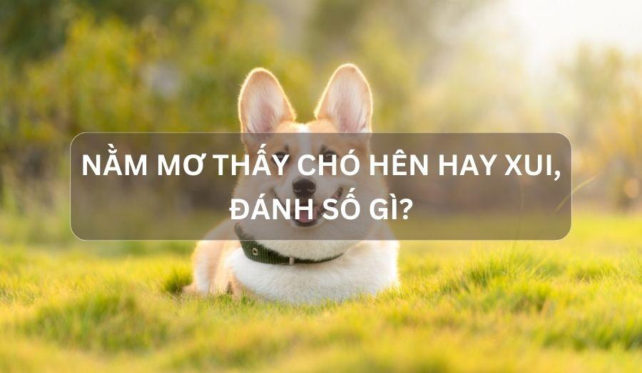 Lưu ý khi giải mã giấc mơ thấy dép