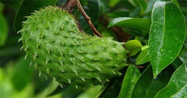 Nằm Mơ Thấy Bố Chồng Đánh Con Gì?