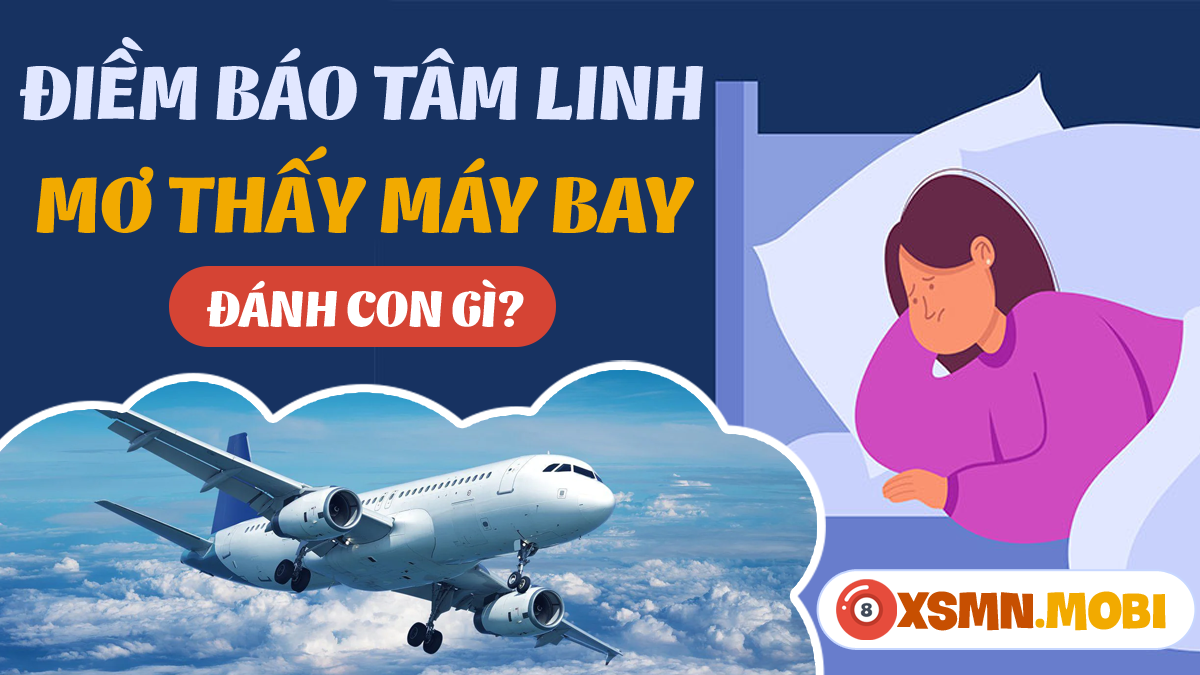 Nằm mơ thấy máy bay rơi đánh con gì?