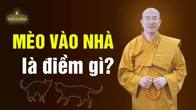 Mèo vàng đẻ con - Điềm báo giàu sang