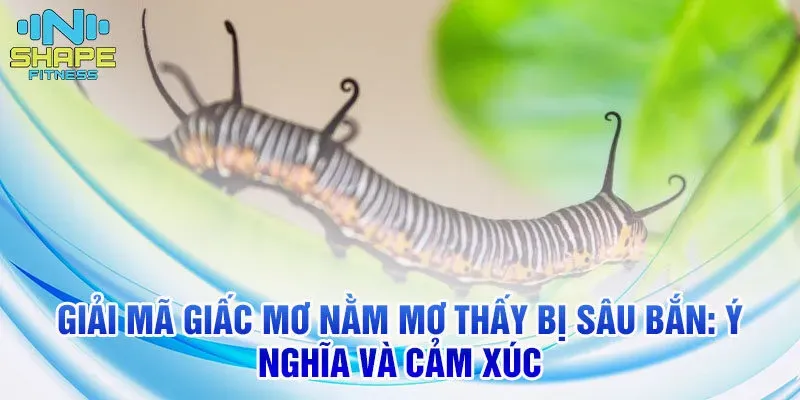Nằm Mơ Thấy Chạy Trốn Đánh Số May