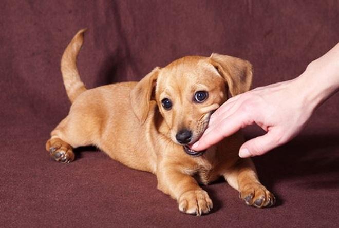 Nằm Mơ Thấy Hủy Đám Cưới: Điềm Báo Gì Về Số Đề?