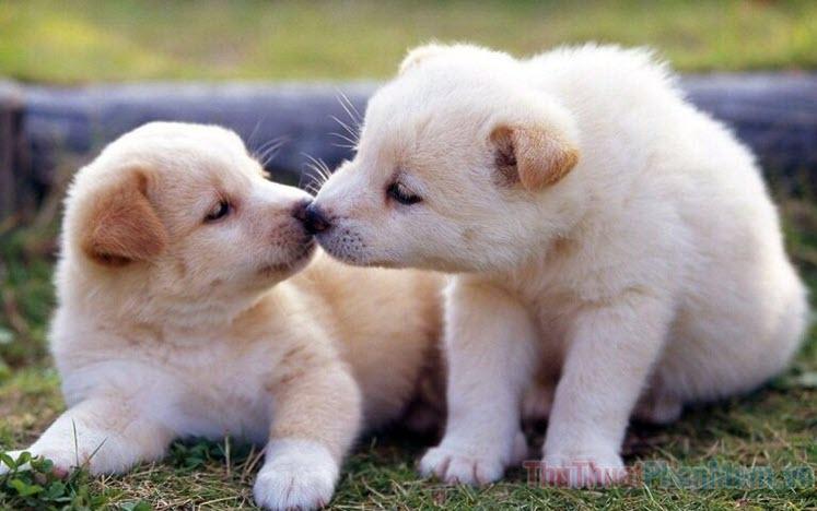 Giải Mã Giấc Mơ Thấy Dây Điện Cháy Đánh Đề Con Gì?